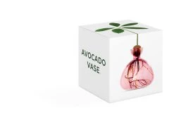 Ilex Studio Avocado Vase 9 Ilex Studio Avocado Vase -Twentytwentyone Shop ILEX AVOCADO PINK 2