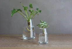 Kinto Aqua Culture Vase 9 Kinto Aqua Culture Vase -Twentytwentyone Shop Kinto aqua culture 2