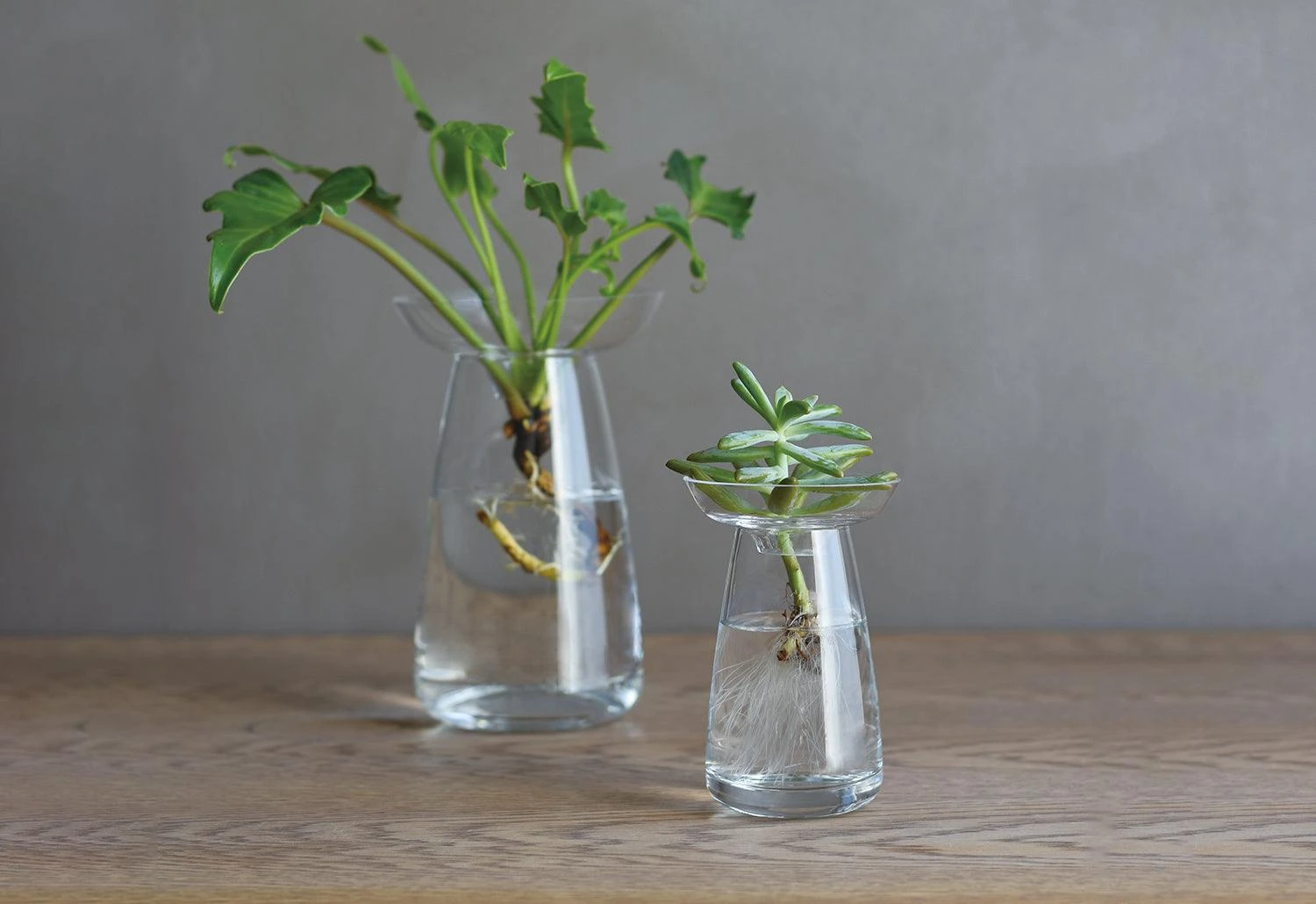 Kinto Aqua Culture Vase 5 Kinto Aqua Culture Vase - Image 3