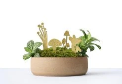 Another Studio Mini Plant Mushrooms, 2018
