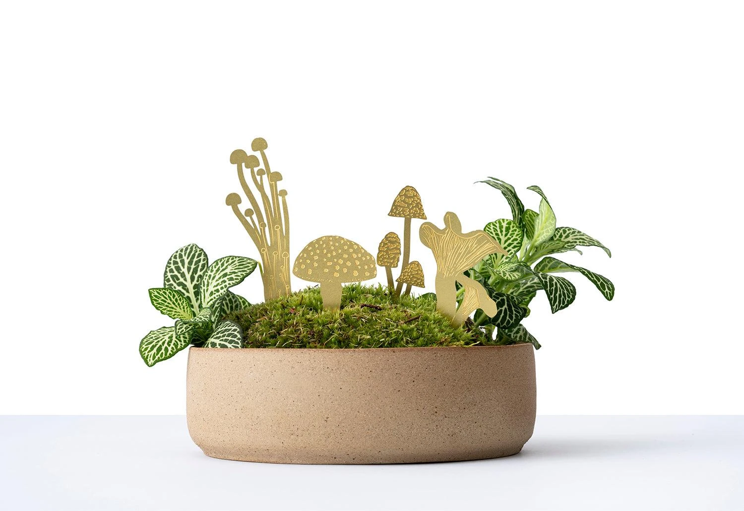 Another Studio Mini Plant Mushrooms, 2018 3 Another Studio Mini Plant Mushrooms, 2018