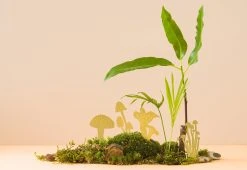 Another Studio Mini Plant Mushrooms, 2018 7 Another Studio Mini Plant Mushrooms, 2018 -Twentytwentyone Shop another studio mini mushrooms 3