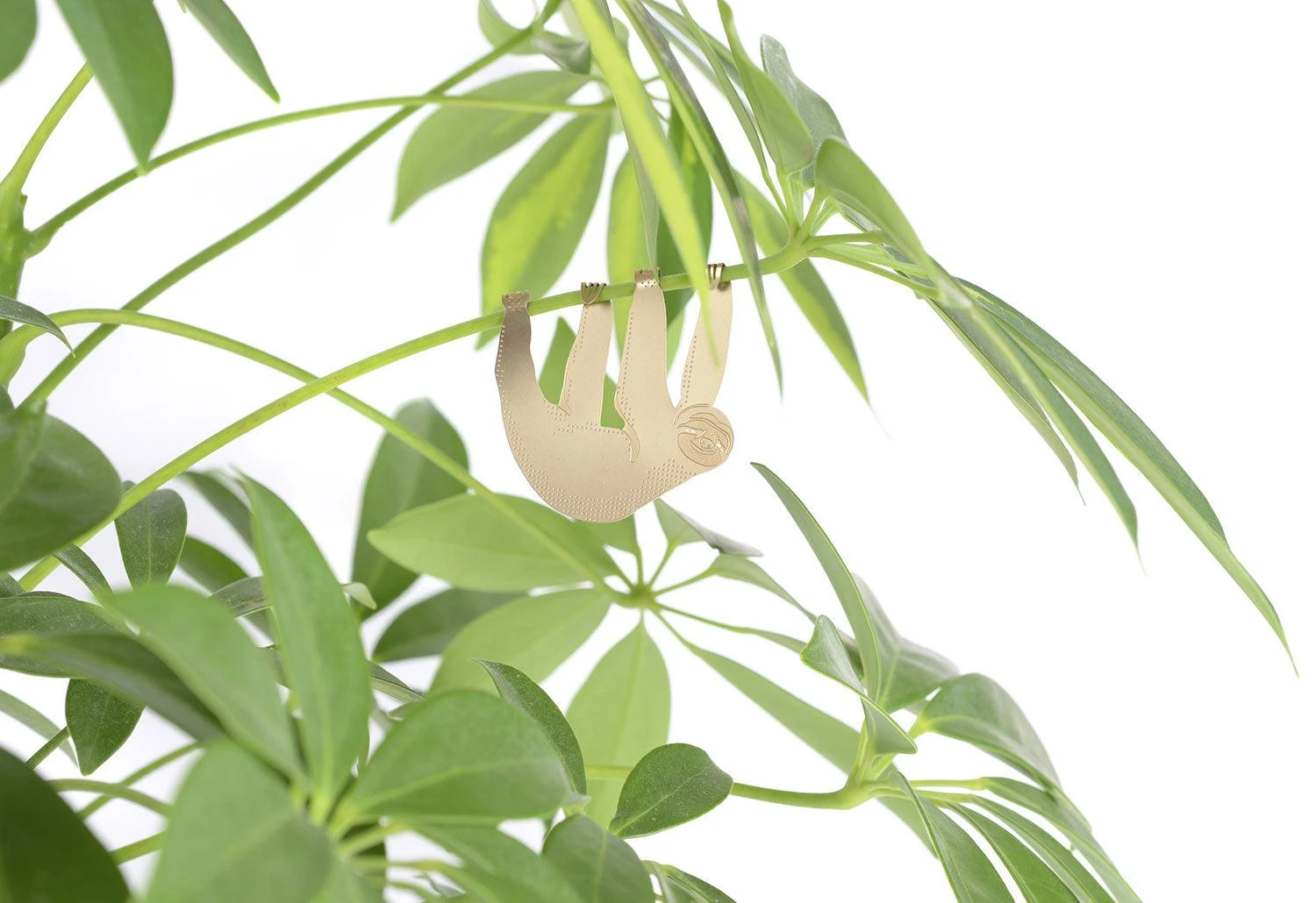 Another Studio Plant Animals, 2018 5 Another Studio Plant Animals, 2018 - Image 3