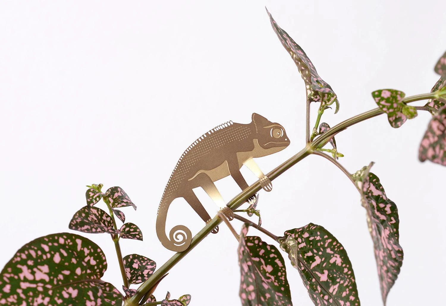 Another Studio Plant Animals, 2018 3 Another Studio Plant Animals, 2018