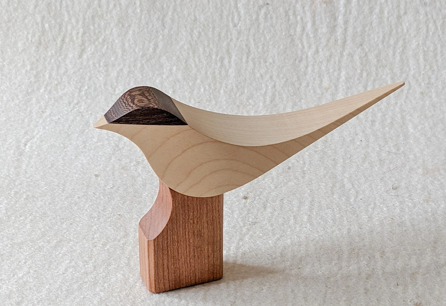 Curio Studio Arctic Tern 10 Curio Studio Arctic Tern - Image 8