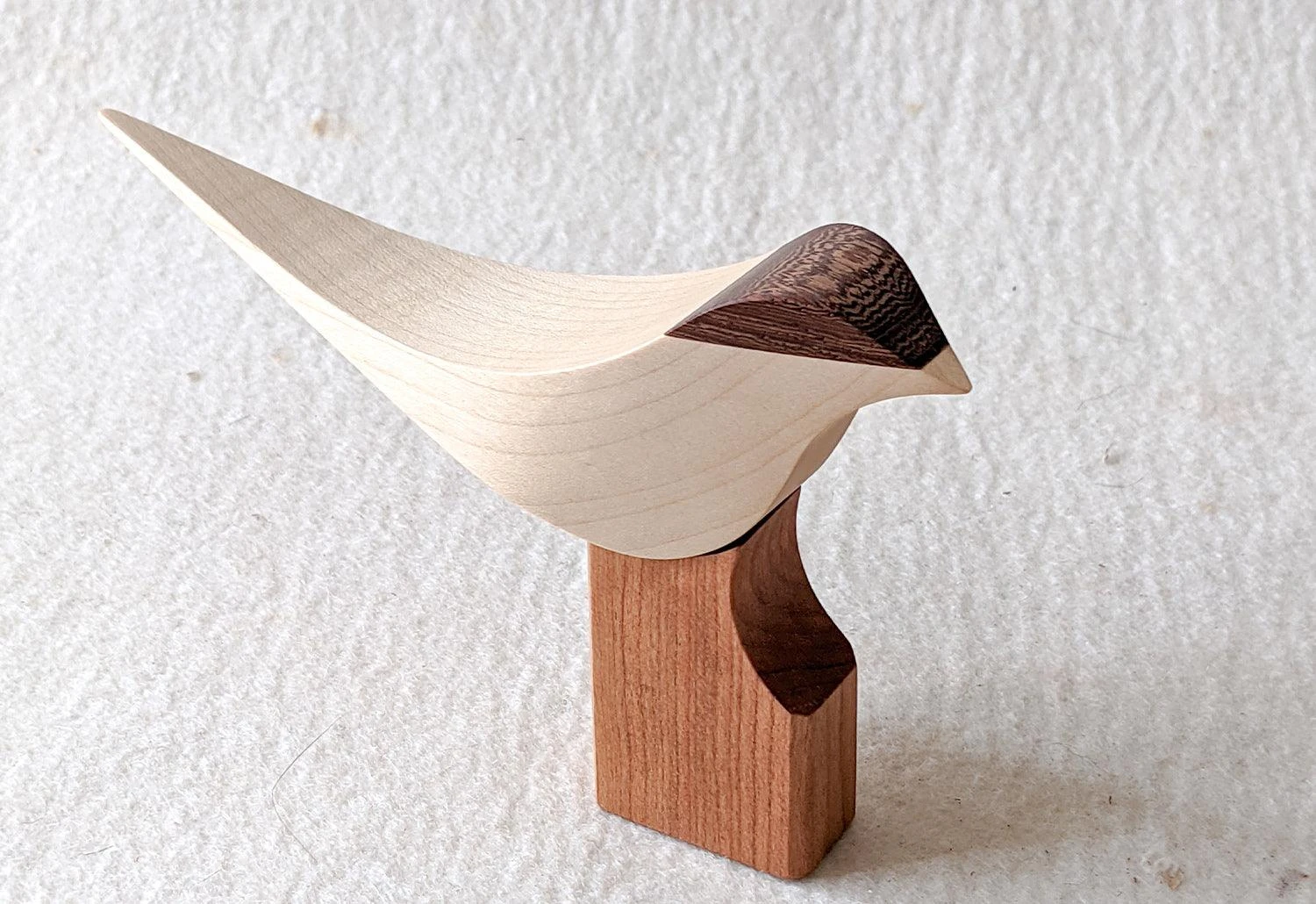 Curio Studio Arctic Tern 9 Curio Studio Arctic Tern - Image 7