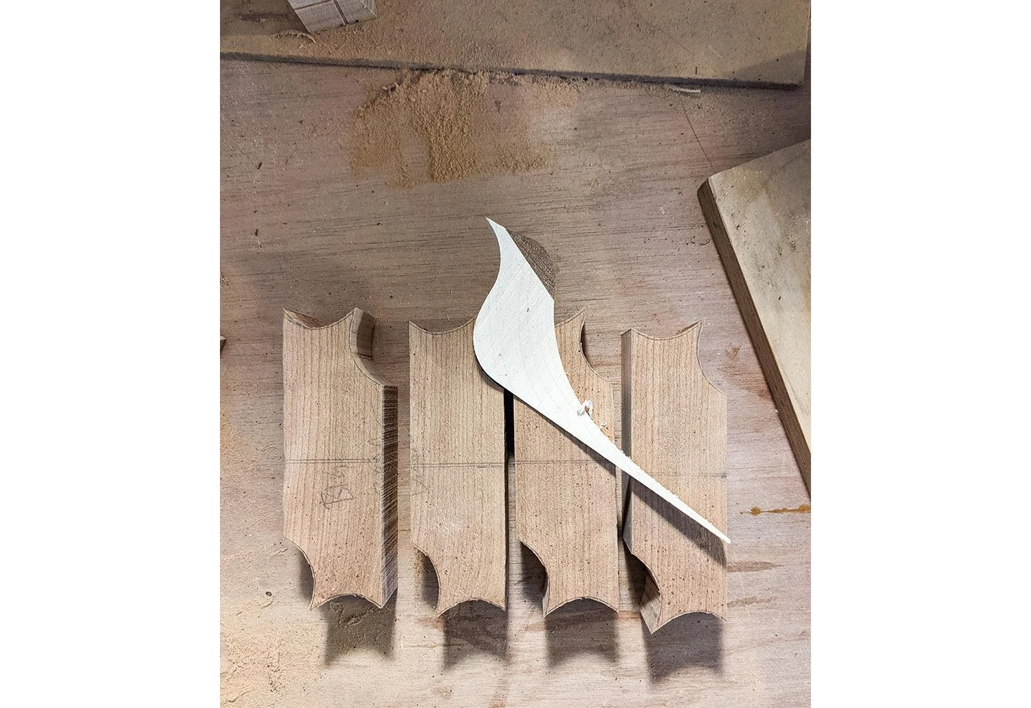 Curio Studio Arctic Tern 14 Curio Studio Arctic Tern - Image 12