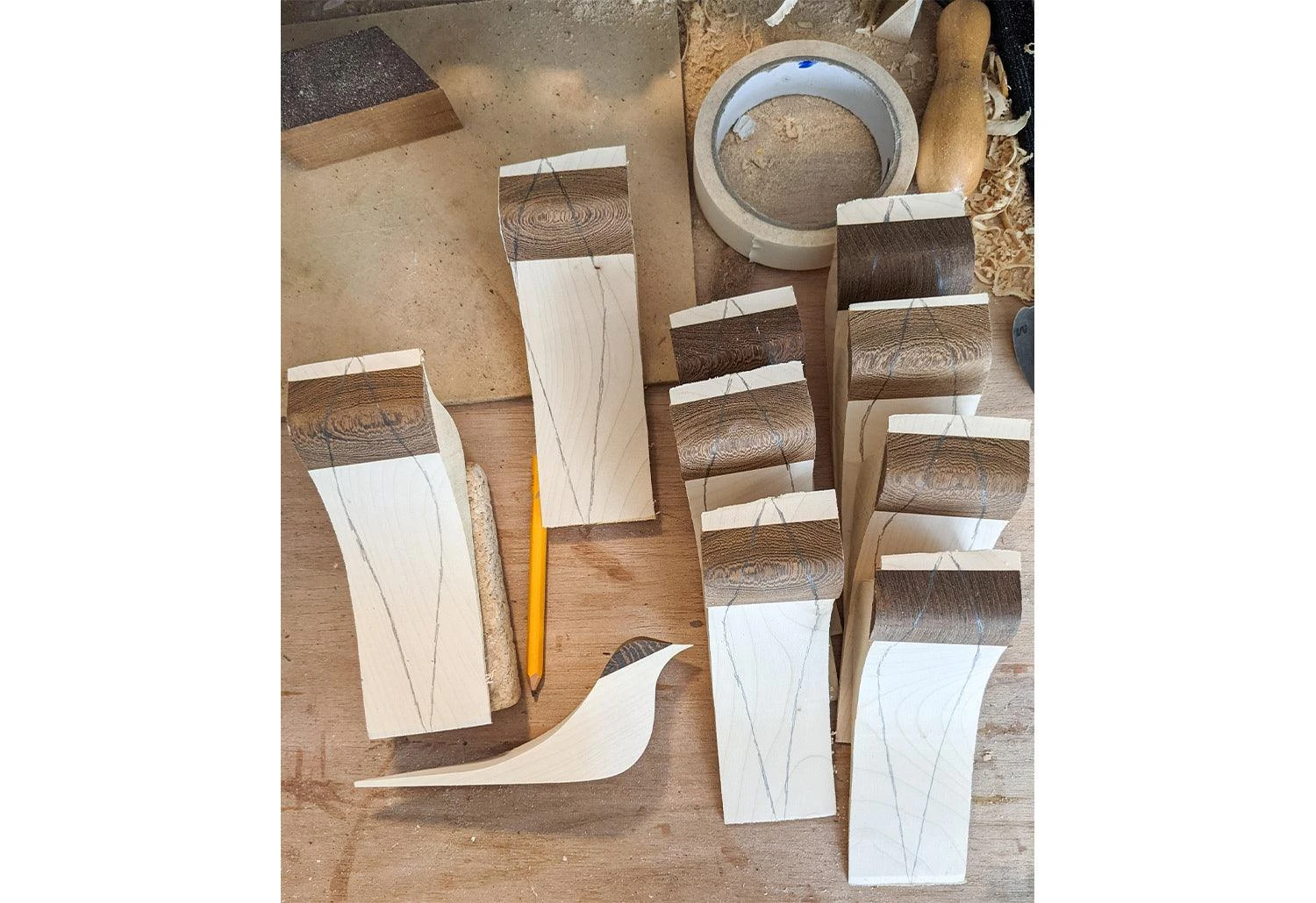 Curio Studio Arctic Tern 16 Curio Studio Arctic Tern - Image 14