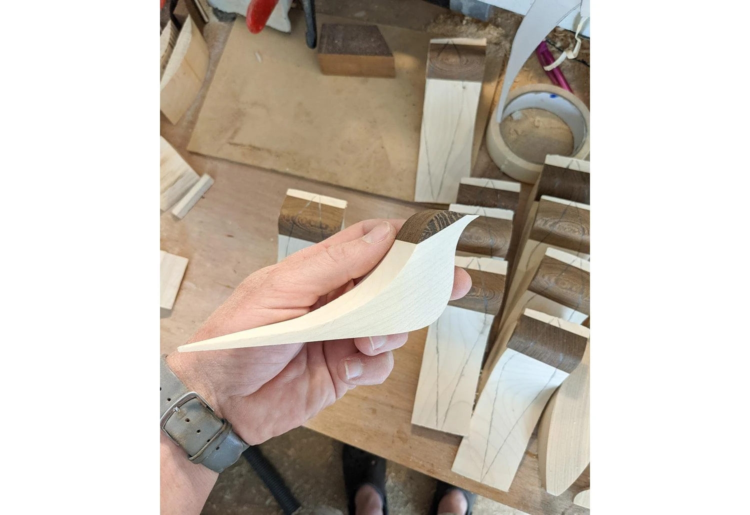 Curio Studio Arctic Tern 17 Curio Studio Arctic Tern - Image 15