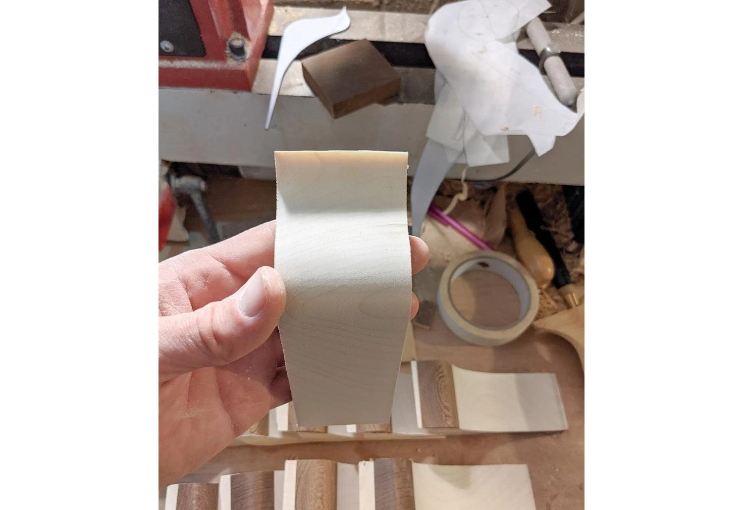 Curio Studio Arctic Tern 18 Curio Studio Arctic Tern - Image 16