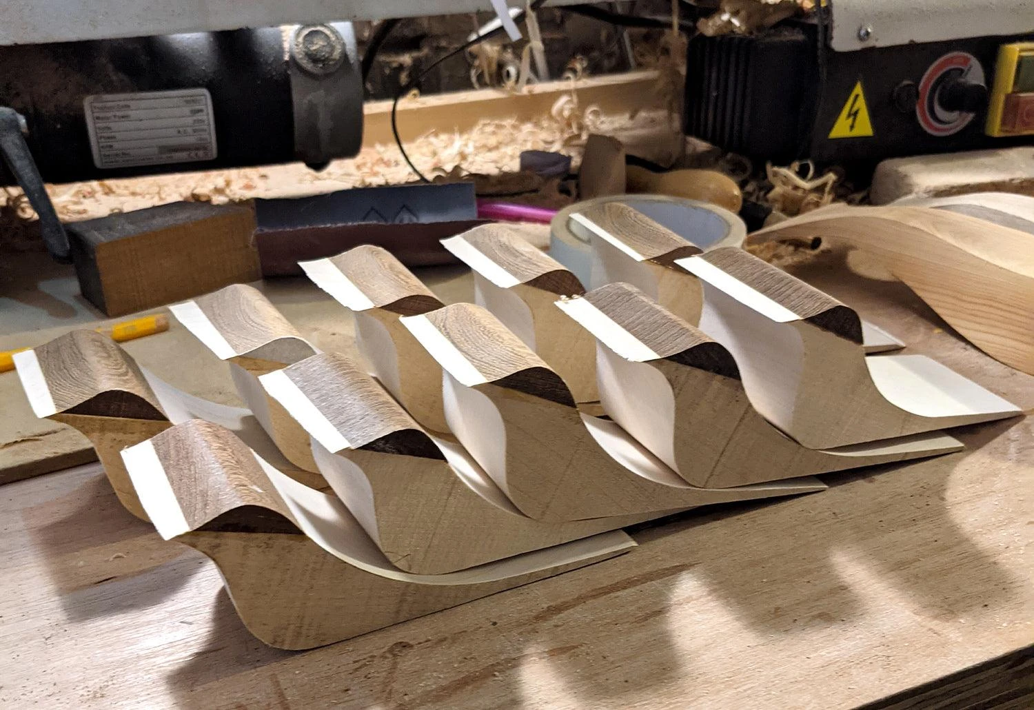 Curio Studio Arctic Tern 19 Curio Studio Arctic Tern - Image 17