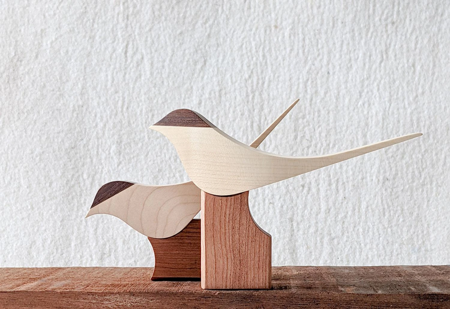 Curio Studio Arctic Tern 4 Curio Studio Arctic Tern - Image 2