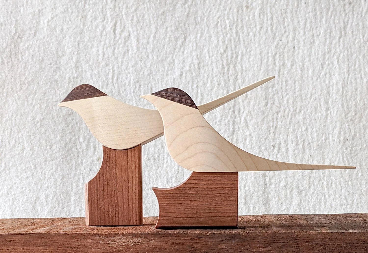 Curio Studio Arctic Tern 5 Curio Studio Arctic Tern - Image 3