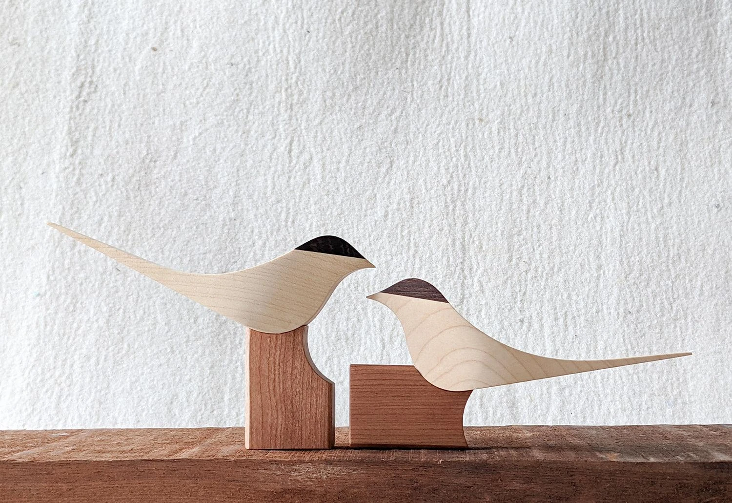 Curio Studio Arctic Tern 6 Curio Studio Arctic Tern - Image 4