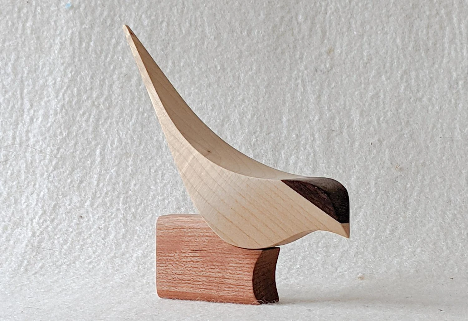 Curio Studio Arctic Tern 8 Curio Studio Arctic Tern - Image 6