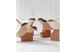 Curio Studio Arctic Tern 28 Curio Studio Arctic Tern -Twentytwentyone Shop arctic tern 6