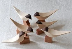 Curio Studio Arctic Tern 29 Curio Studio Arctic Tern -Twentytwentyone Shop arctic tern 7