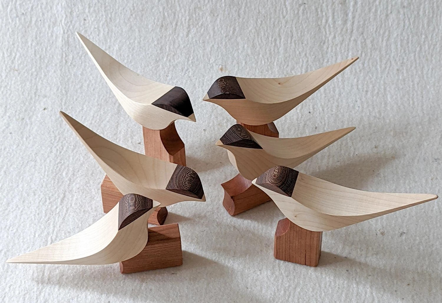 Curio Studio Arctic Tern 13 Curio Studio Arctic Tern - Image 11