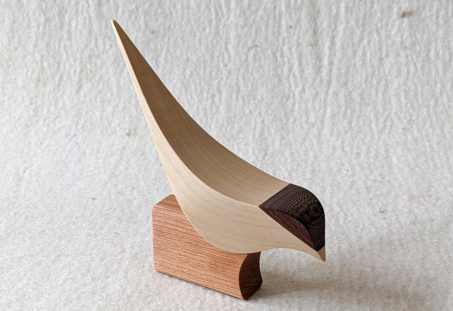 Curio Studio Arctic Tern 7 Curio Studio Arctic Tern - Image 5