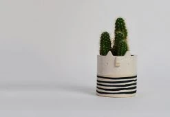 Atelier Stella Mini Cat Pot