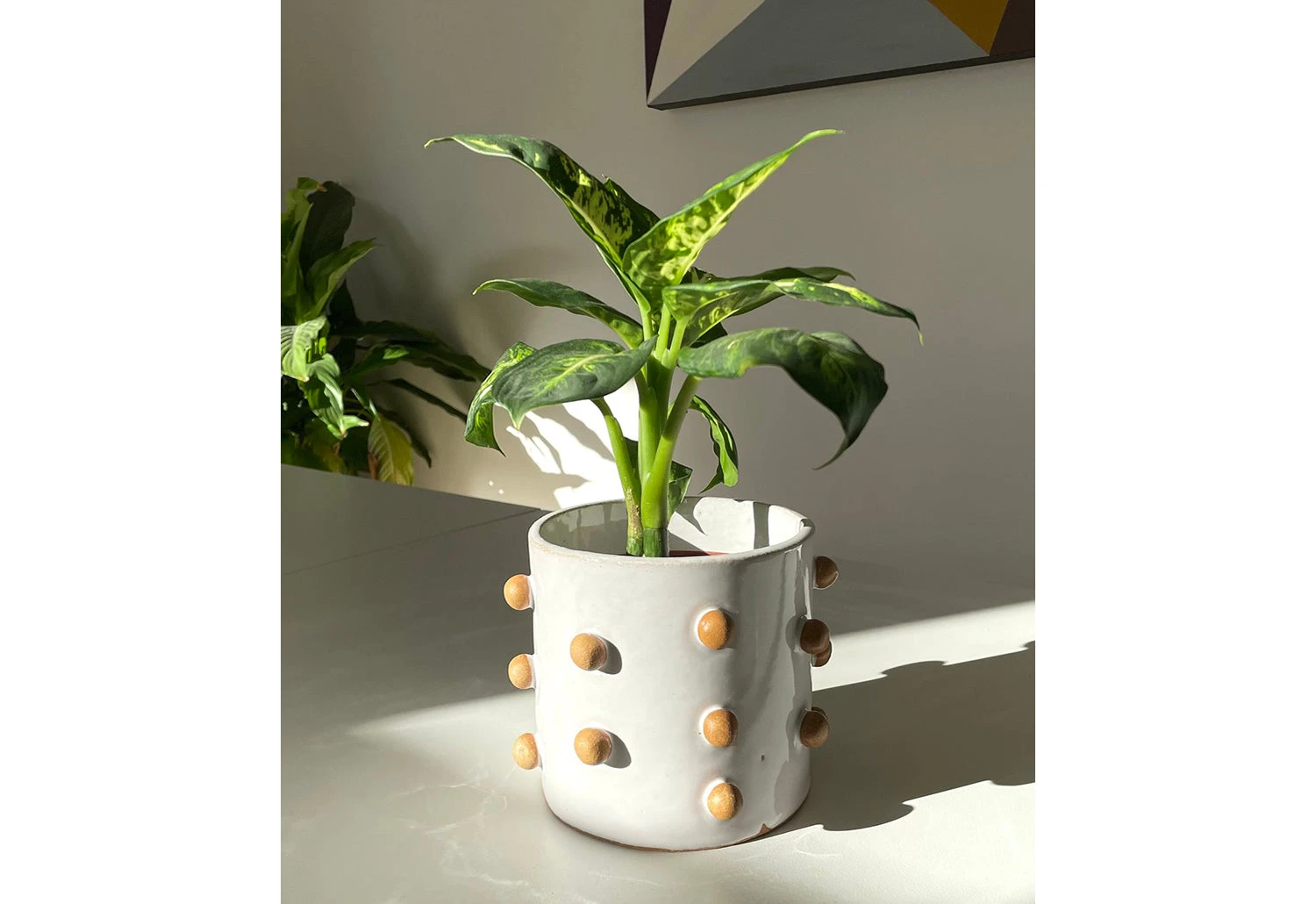 Atelier Stella Large Bobble Planter 6 Atelier Stella Large Bobble Planter - Image 4