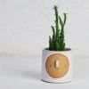 Atelier Stella Small Harvest Moon Pot 2 Atelier Stella Small Harvest Moon Pot -Twentytwentyone Shop attelia stella moon pot 1