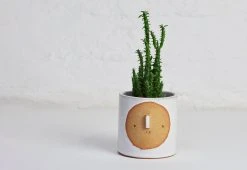 Atelier Stella Small Harvest Moon Pot