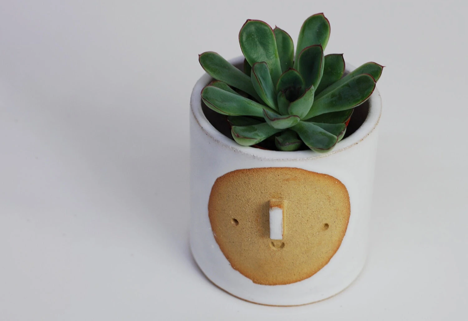 Atelier Stella Small Harvest Moon Pot 4 Atelier Stella Small Harvest Moon Pot - Image 2