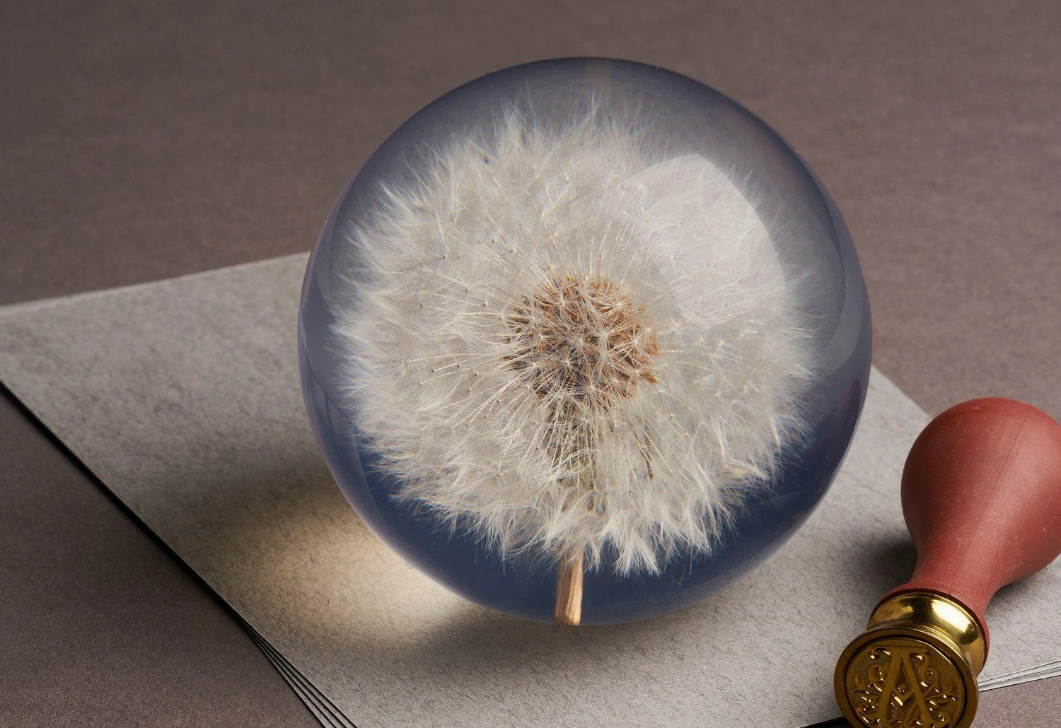 Hafod Grange Dandelion Paperweight, 1968 4 Hafod Grange Dandelion Paperweight, 1968 - Image 2