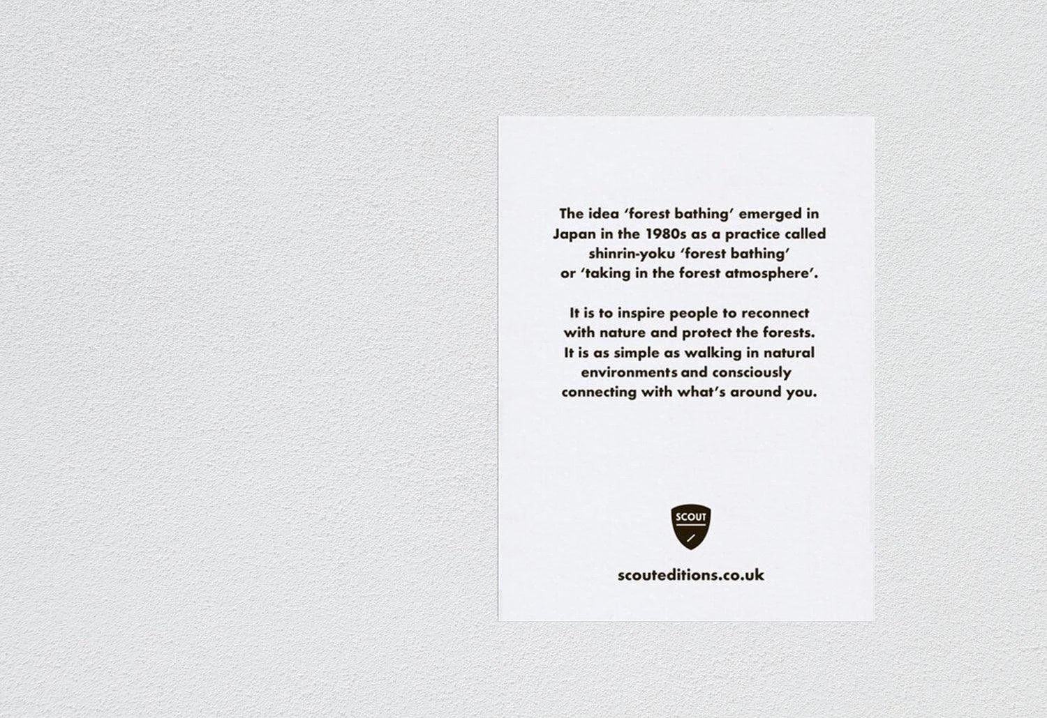 Scout Editions Forest Mini Card 4 Scout Editions Forest Mini Card - Image 2