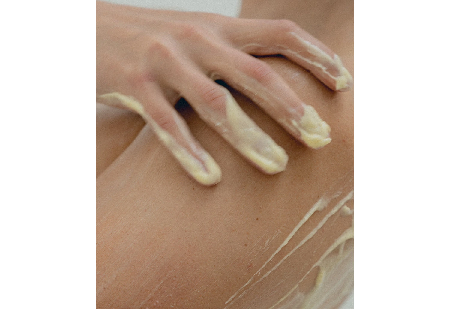 Haeckels Bladderwrack And Pumpkin Moisturising Lotion 6 Haeckels Bladderwrack And Pumpkin Moisturising Lotion - Image 4