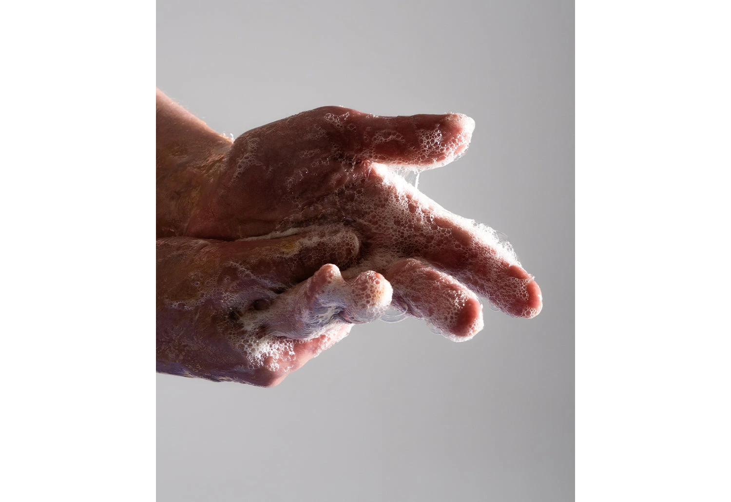 Haeckels Bladderwrack & Fennel Hand Wash 5 Haeckels Bladderwrack & Fennel Hand Wash - Image 3