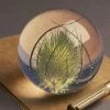 Hafod Grange Teasel Paperweight 1 Hafod Grange Teasel Paperweight -Twentytwentyone Shop hafod grange teasel paperweight 1
