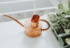 Hâws Fazeley Flow Copper Watering Can 13 Hâws Fazeley Flow Copper Watering Can -Twentytwentyone Shop haws fazeley flow watering can copper 3