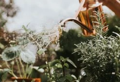 Hâws Rowley Ripple Copper Watering Can 15 Hâws Rowley Ripple Copper Watering Can -Twentytwentyone Shop haws roqley ripple watering can copper 4