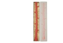 Ilex Studio Branch Candle Minium