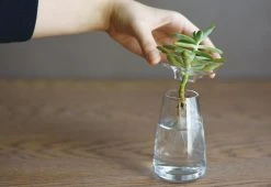 Kinto Aqua Culture Vase 10 Kinto Aqua Culture Vase -Twentytwentyone Shop kito aqua culture vase 4