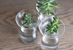 Kinto Aqua Culture Vase 11 Kinto Aqua Culture Vase -Twentytwentyone Shop kito aqua culture vase 6