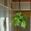 Hay Phanta Plant Hanger 2 Hay Phanta Plant Hanger -Twentytwentyone Shop phanta plant hanger HAY twentytwentyone 3