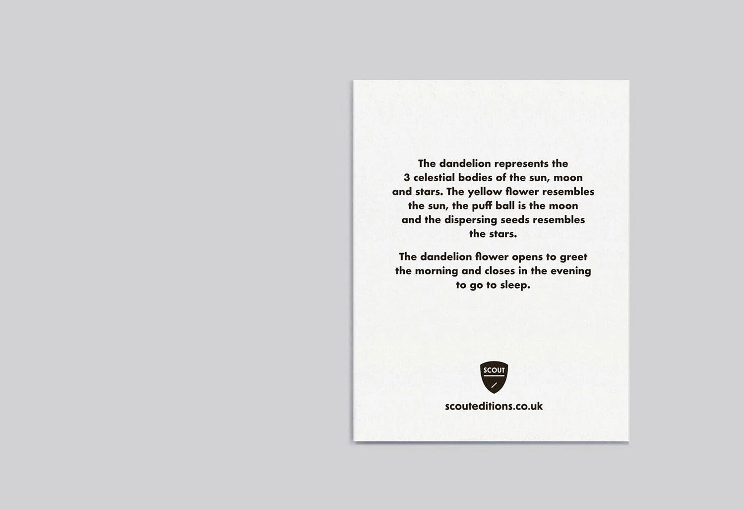 Scout Editions Dandelion Mini Card 4 Scout Editions Dandelion Mini Card - Image 2