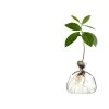 Ilex Studio Avocado Vase -Twentytwentyone Shop twentytwentyone Ilex Studio 4