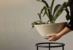 Menu Daiza Planter, 2023 19 Menu Daiza Planter, 2023 -Twentytwentyone Shop twentytwentyone Menu Daiza Planter 1