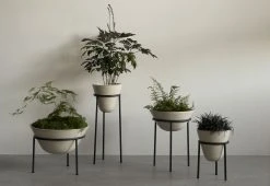 Menu Daiza Planter, 2023