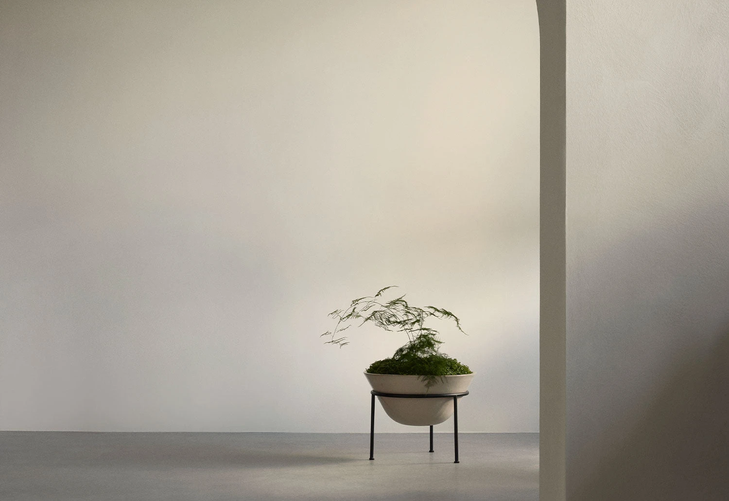 Menu Daiza Planter, 2023 11 Menu Daiza Planter, 2023 - Image 9