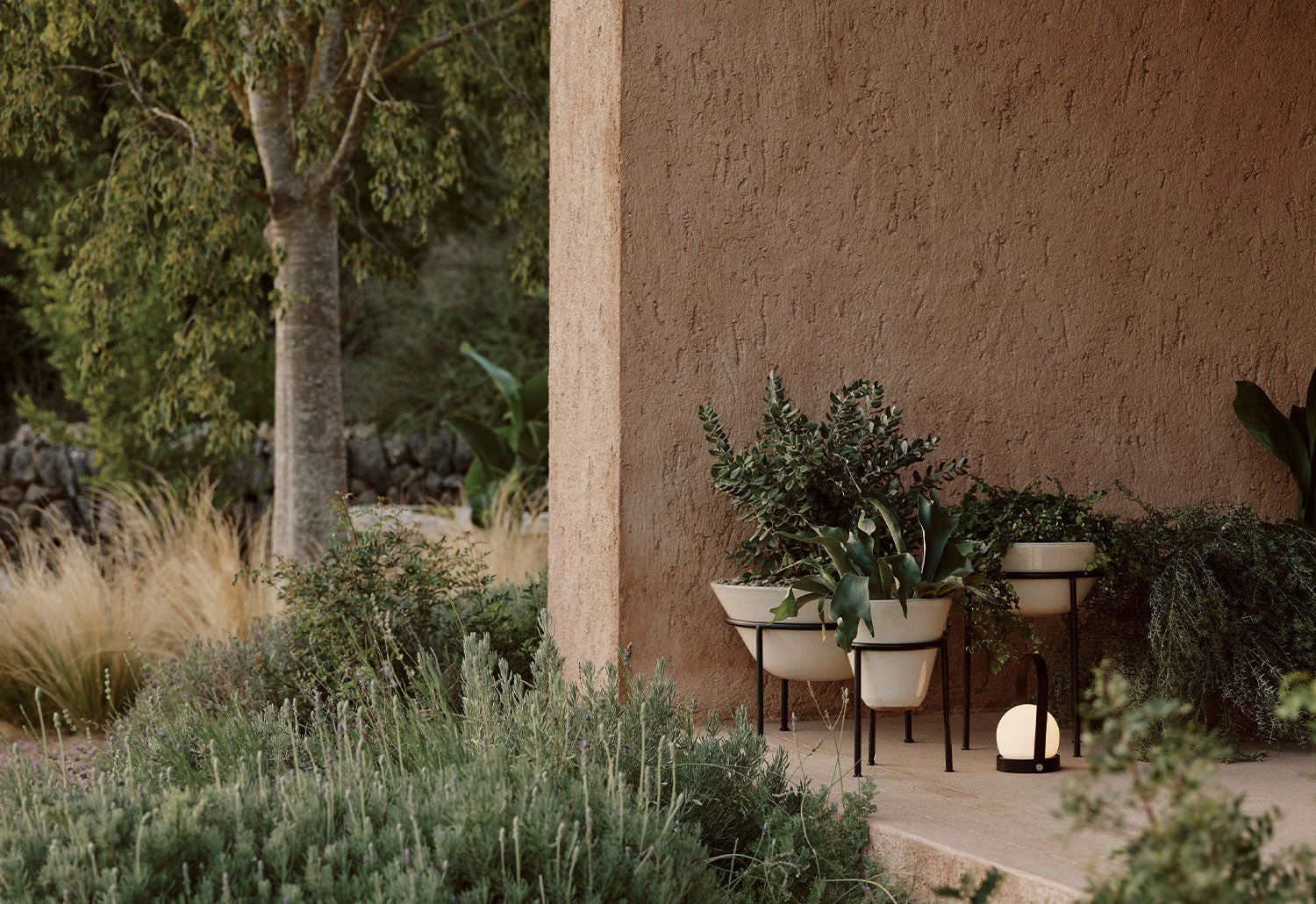 Menu Daiza Planter, 2023 13 Menu Daiza Planter, 2023 - Image 11