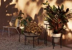 Menu Daiza Planter, 2023 25 Menu Daiza Planter, 2023 -Twentytwentyone Shop twentytwentyone Menu Daiza Planter 7