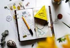 Twentytwentyone Mini Wire Clips 8 Twentytwentyone Mini Wire Clips -Twentytwentyone Shop twentytwentyone Tools To Live By Mini Clips Gold 3