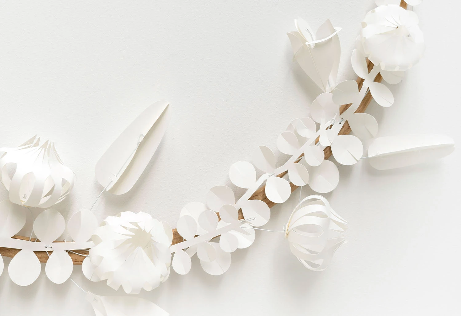 N/A Field Wildflowers 13 N/A Field Wildflowers - Image 11