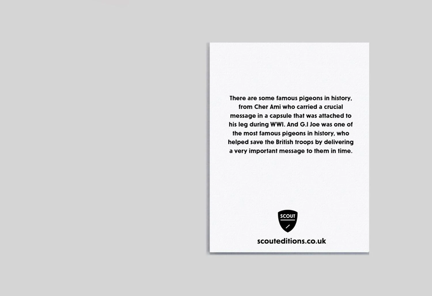 Scout Editions Pigeon Mini Card 4 Scout Editions Pigeon Mini Card - Image 2