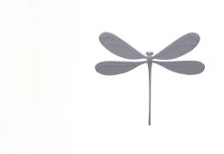 Studio Macura Vila Dragonfly Magnets, 2015